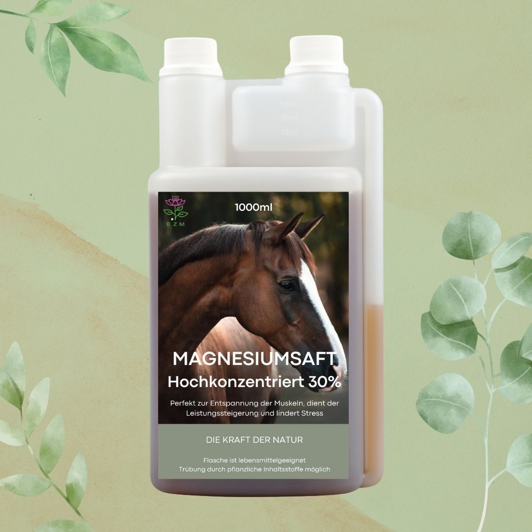 Magnesiumsaft 30% 1000ml